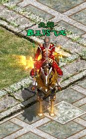 飞龙